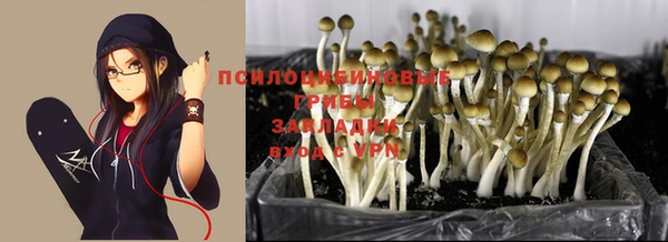 МДПВ Верхнеуральск