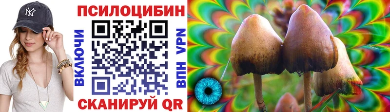 Галлюциногенные грибы Psilocybe  Купить где  Вытегра 
